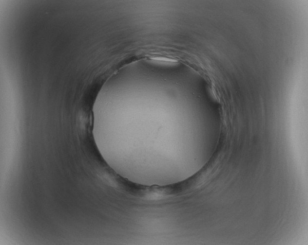 X0000111950235200908171324