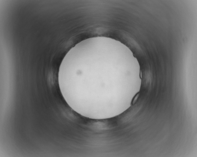 X0000111950236200908171324