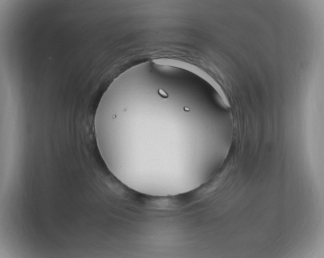 X0000111950237200908171324