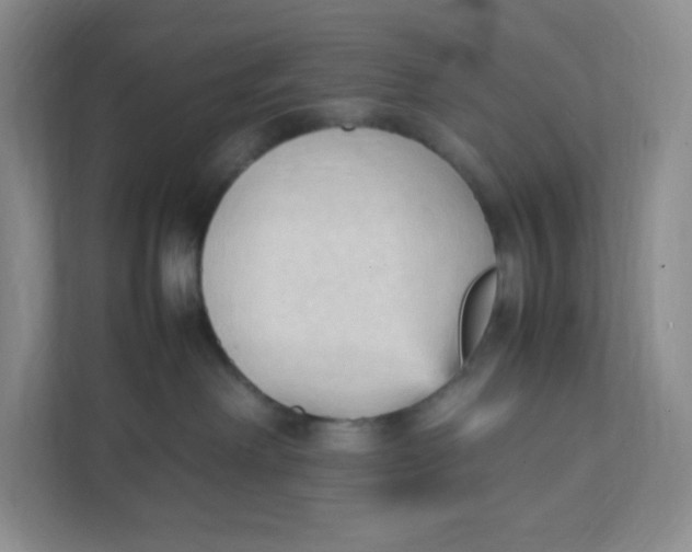 X0000111950238200908171324