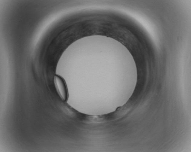 X0000111950239200908171324