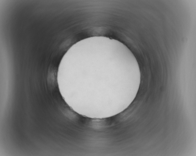 X0000111950240200908171324