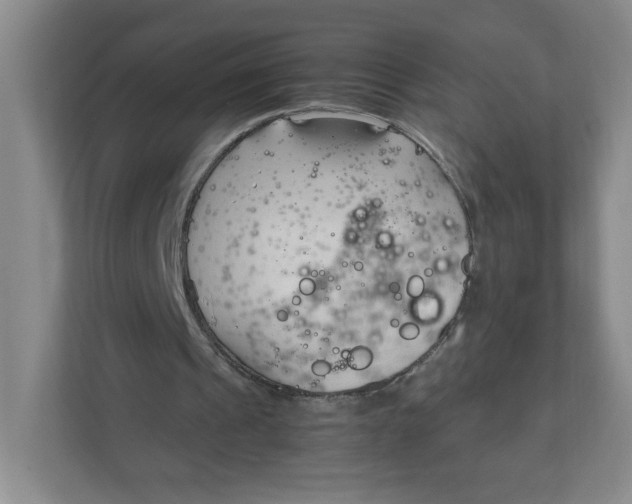 X0000111950241200908171323