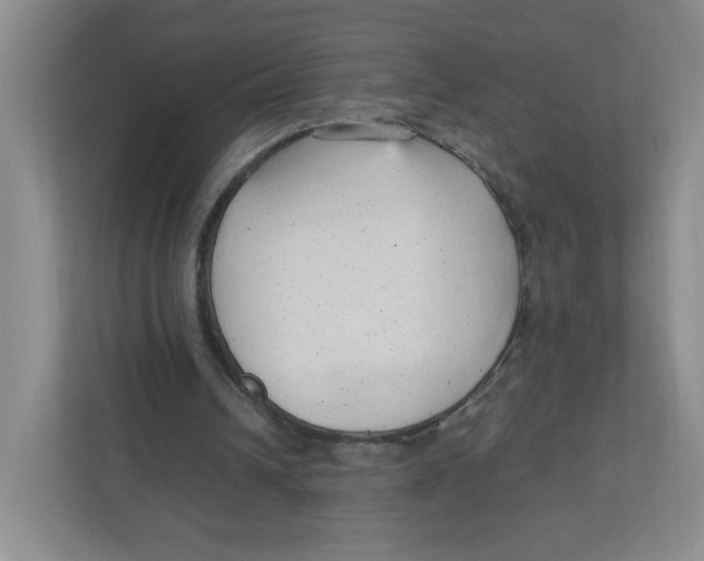 X0000111950242200908171323