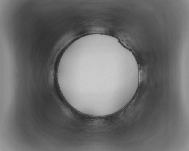 X0000111950243200908171323