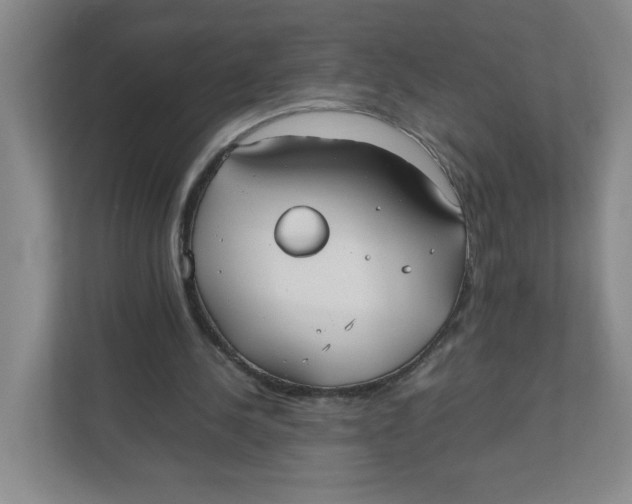 X0000111950244200908171323