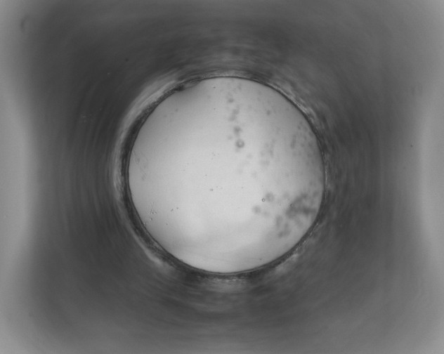 X0000111950245200908171323