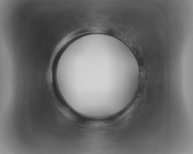 X0000111950246200908171323