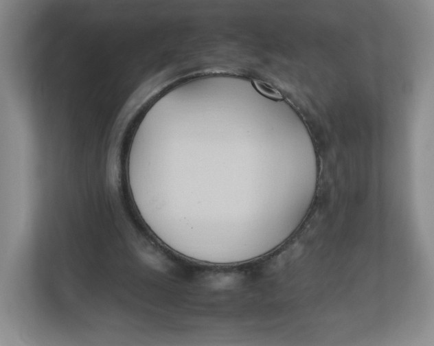 X0000111950247200908171323