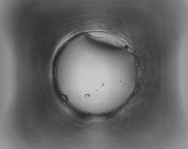 X0000111950248200908171323