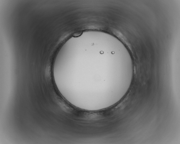 X0000111950249200908171323