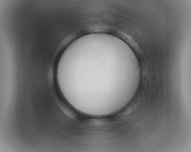 X0000111950250200908171323