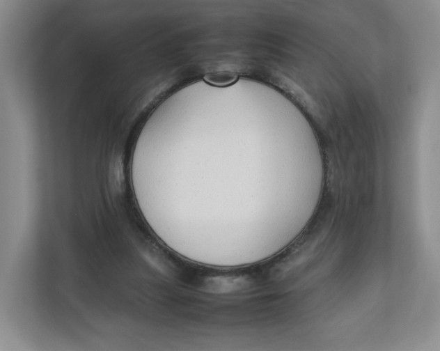 X0000111950251200908171323