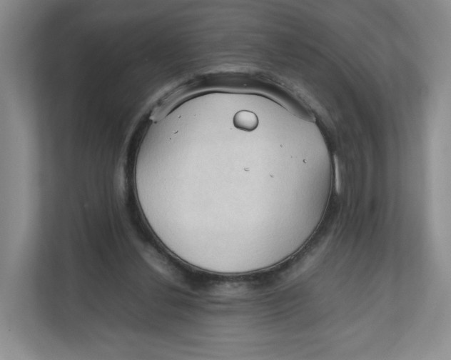 X0000111950252200908171323