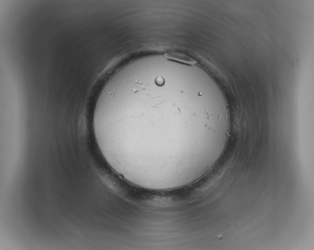 X0000111950256200908171323