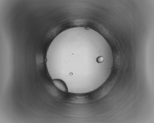 X0000111950260200908171324