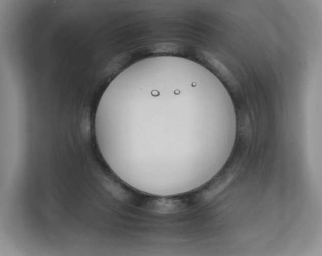 X0000111950261200908171324