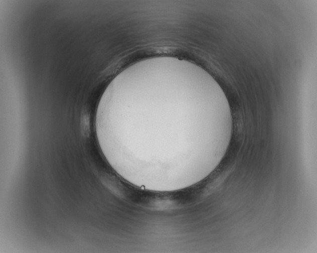 X0000111950262200908171324