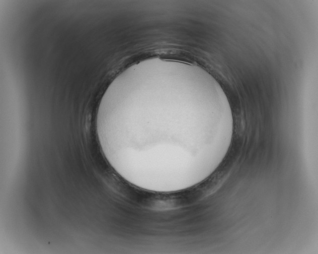 X0000111950263200908171324