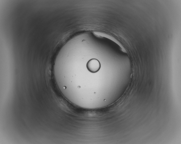 X0000111950264200908171324