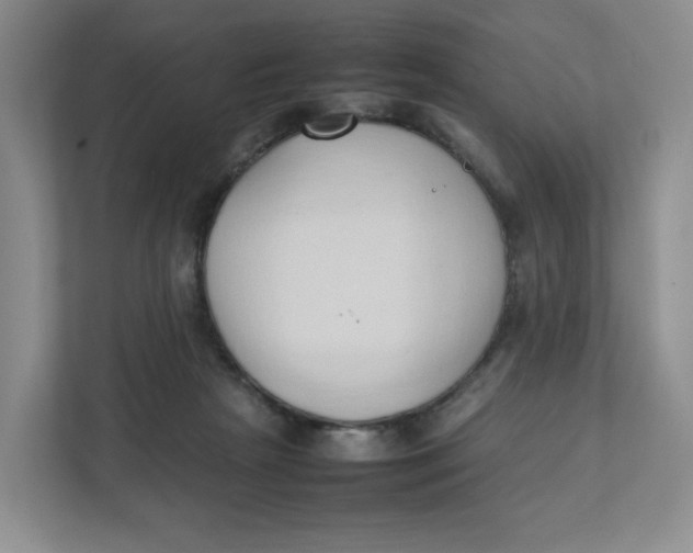 X0000111950265200908171324