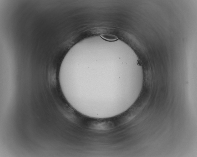 X0000111950267200908171324