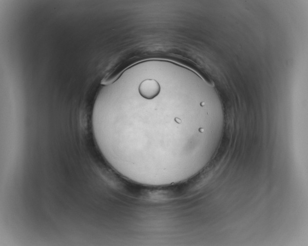 X0000111950268200908171324