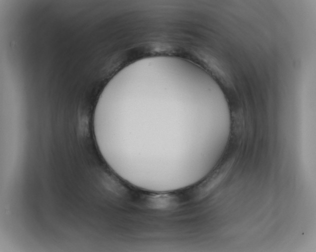 X0000111950269200908171324