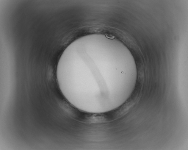 X0000111950270200908171324