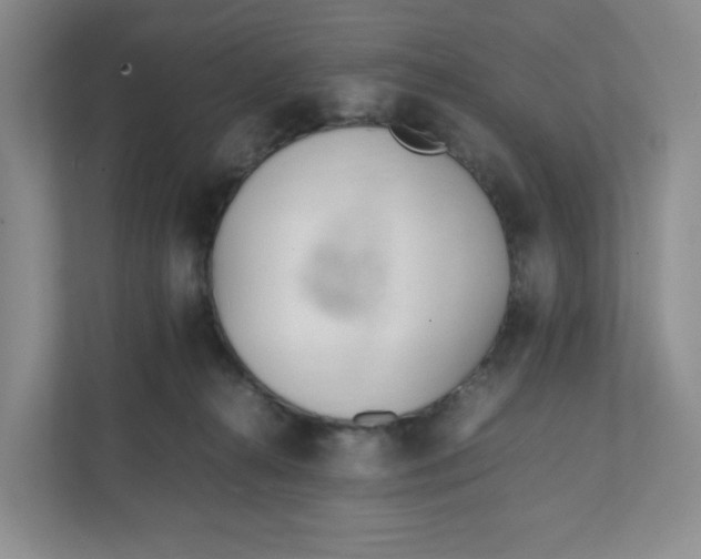 X0000111950272200908171324