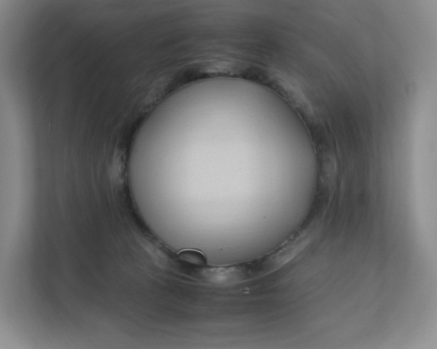 X0000111950273200908171324