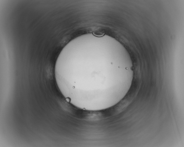 X0000111950274200908171324