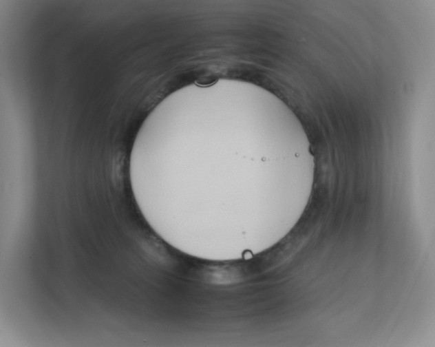 X0000111950275200908171324