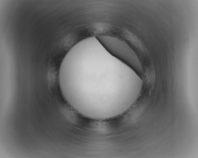 X0000111950276200908171324