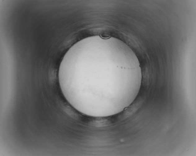 X0000111950278200908171324