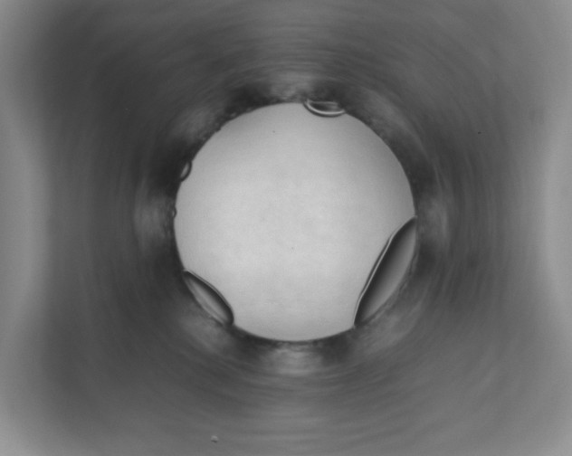 X0000111950280200908171324