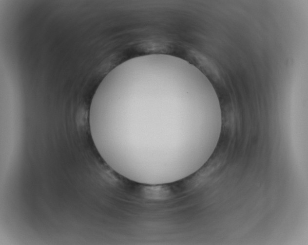 X0000111950281200908171324