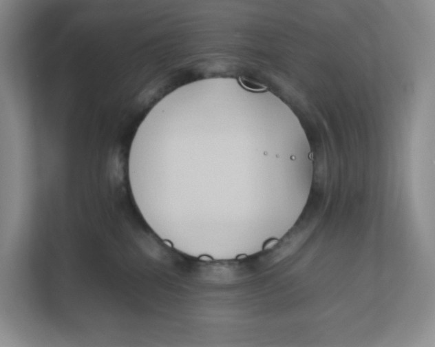 X0000111950282200908171324