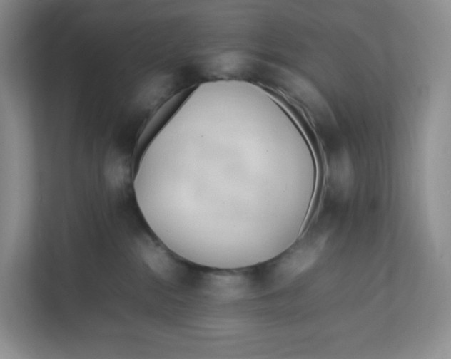 X0000111950284200908171324