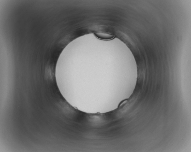 X0000111950285200908171324