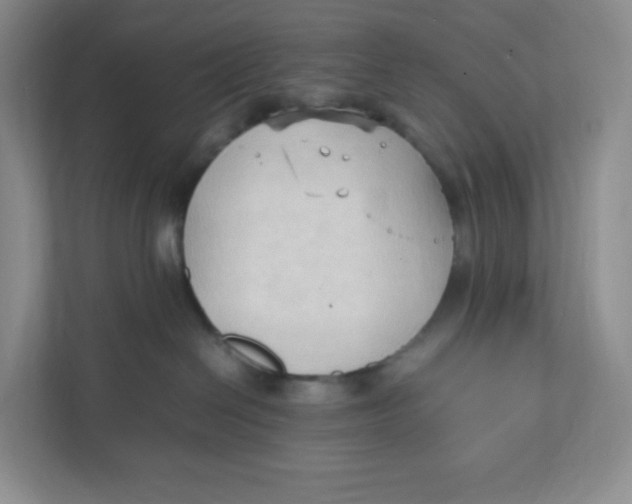 X0000111950286200908171324