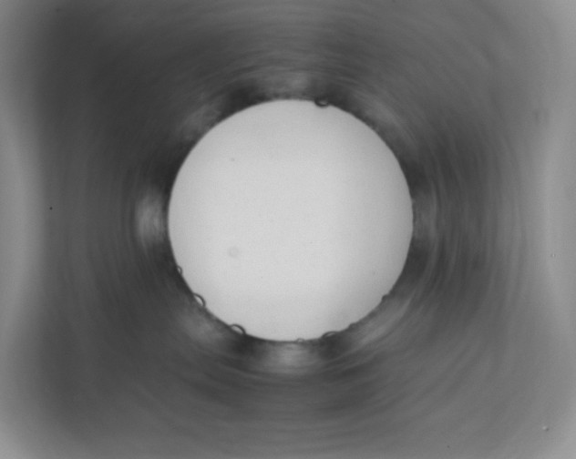 X0000111950287200908171324