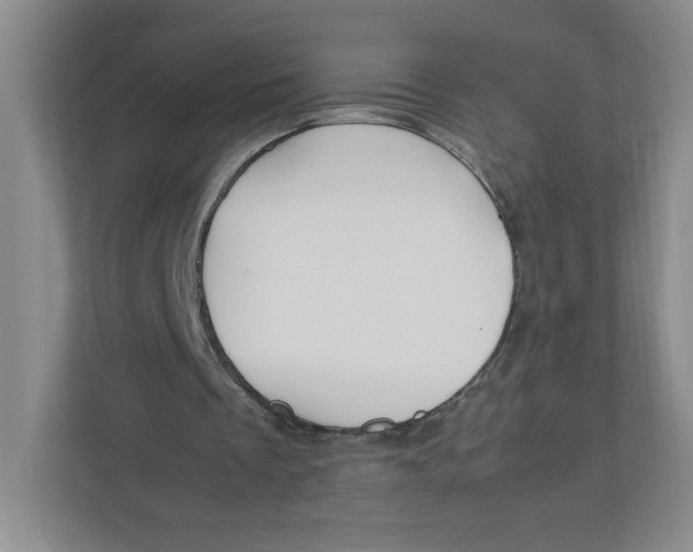 X0000111950289200908171323