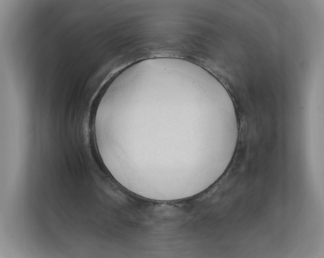 X0000111950290200908171323