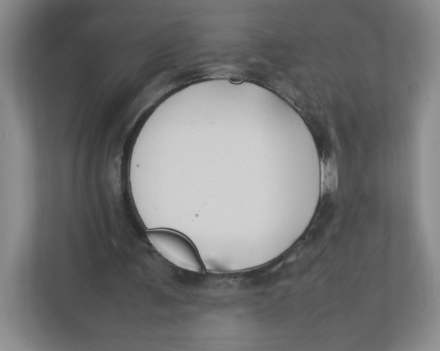 X0000111950291200908171323