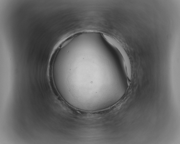 X0000111950292200908171323