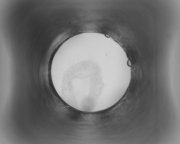 X0000111950293200908171323