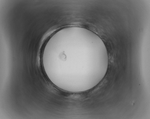 X0000111950294200908171323