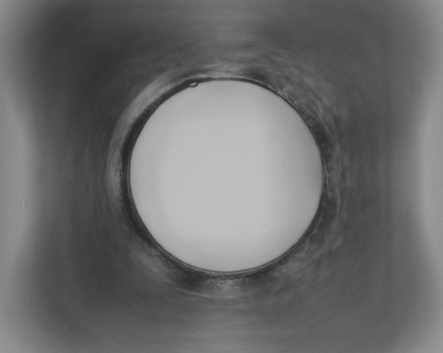 X0000111950295200908171323