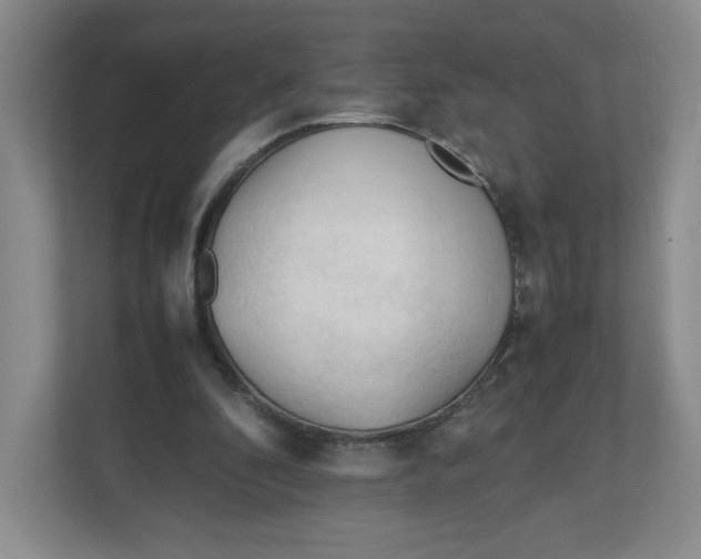 X0000111950296200908171323